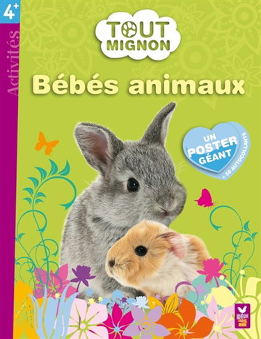 Couverture de Bébés animaux : un poster géant + 50 autocollants par Hachette
