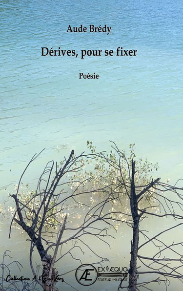 Dérives, pour se fixer : recueil de poésies