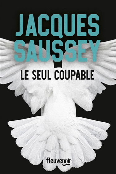 Le seul coupable