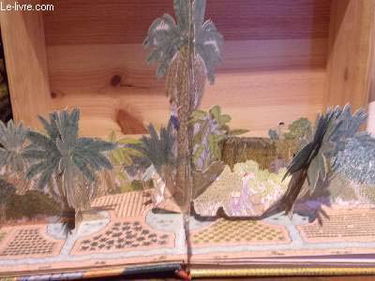 L'Oasis : une halte dans le désert