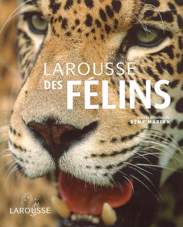 Couverture de Larousse des félins