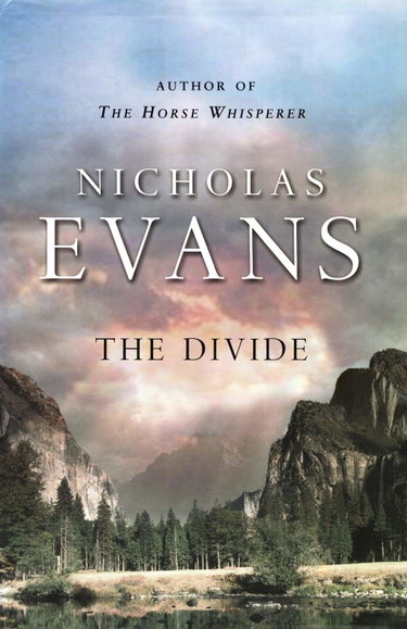 Couverture de The Divide
