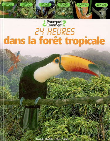 24 heures dans la forêt tropicale