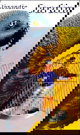 Fanfan, le petit sauvage, l'île des Gauchers