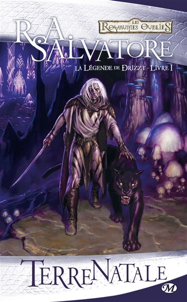 La légende de Drizzt. Vol. 1. Terre natale