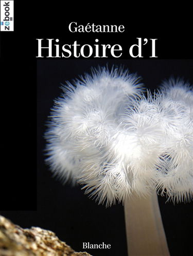 Histoire d'I