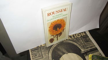 Les rêveries du promeneur solitaire