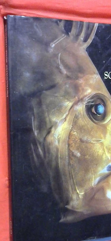 Rencontres sous-marines