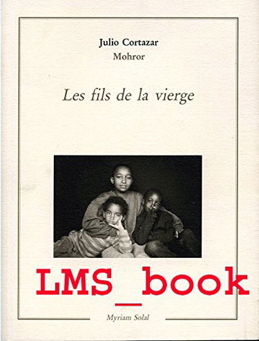 Les fils de la vierge