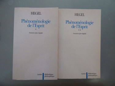 Phénoménologie de l'esprit
