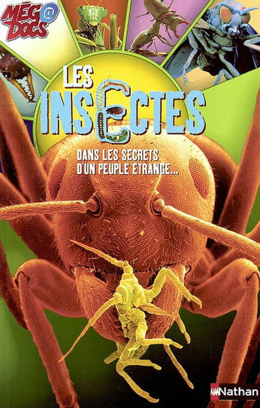 Couverture de Les insectes : dans les secrets d'un peuple étrange