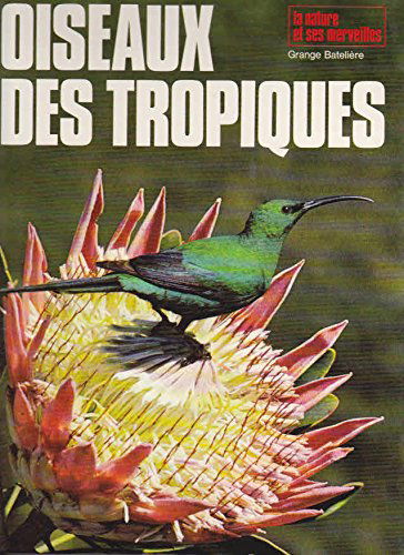 Oiseaux des tropiques
