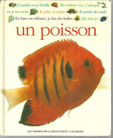 Qui suis-je ? Un poisson