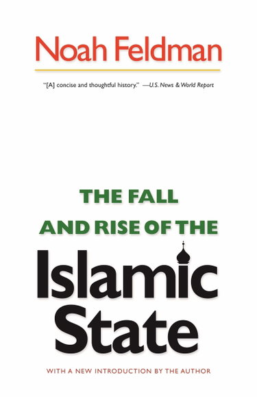 Couverture de The Fall and Rise of the Islamic State