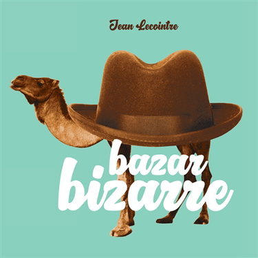 Couverture de Bazar bizarre par Jean Lecointre