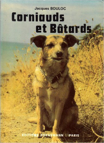 Corniauds et bâtards