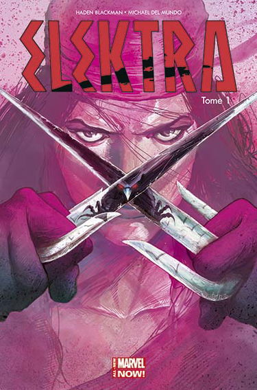 Elektra. Vol. 1. Le sang appelle le sang