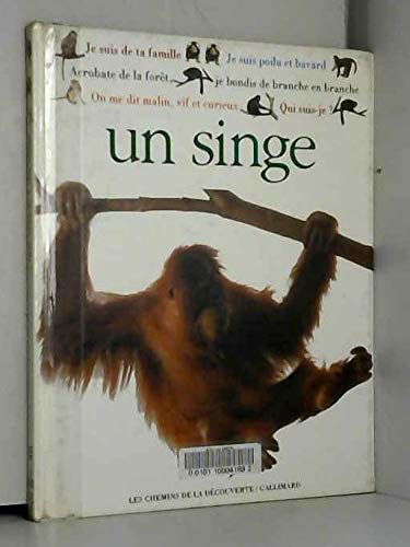 Qui suis-je ? Un singe