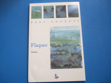 Flaques