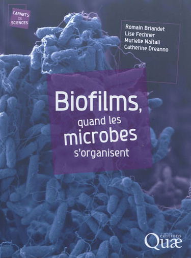Biofilms, quand les microbes s'organisent