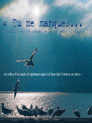 Couverture de Tu me manques...