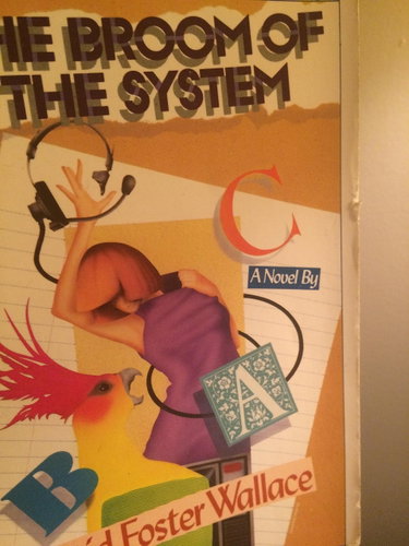 Couverture de The Broom of the System