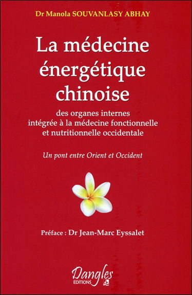 La médecine énergétique chinoise : intégrée à la médecine fonctionnelle et nutritionnelle occidentale : le pont entre l'Orient et l'Occident