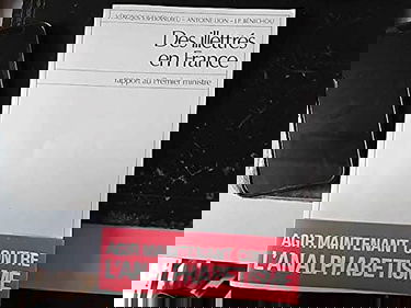 Des illettrés en France : Rapport au premier Ministre