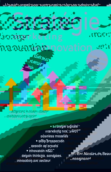 Stratégie, marketing mix, innovation et design thinking: Atteignez le niveau master en 3 cours complets, maîtrisez votre projet et mettez vous à jour.