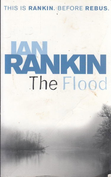 Couverture de The Flood