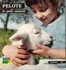 Anne-Marie Pajot. Pelote le petit mouton : Photographié par Antoinette Barrère