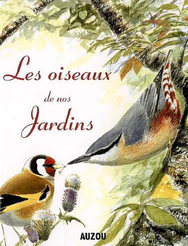 Les oiseaux de nos jardins : comment les identifier et les attirer