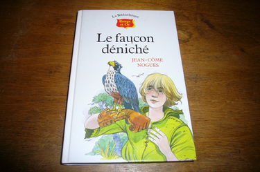 Le faucon deniche