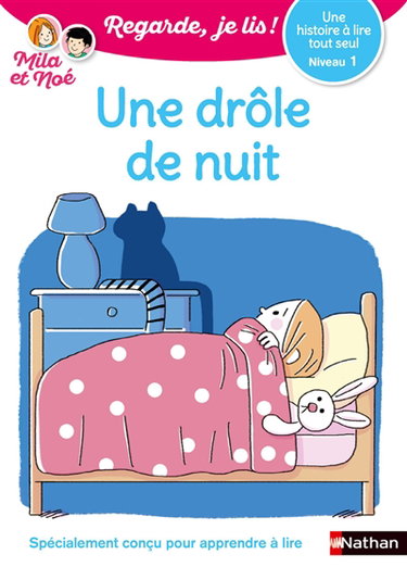 Une drôle de nuit : une histoire à lire tout seul, niveau 1