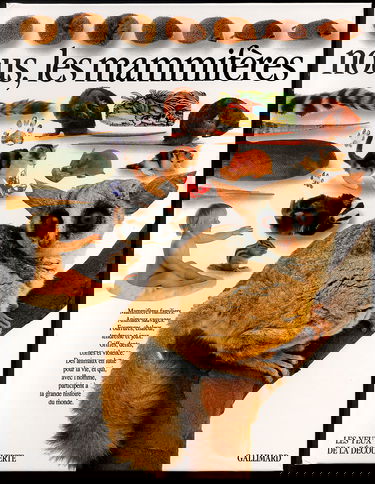 Nous, les mammifères