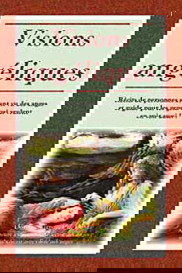 Visions angéliques - Un recueil de récits de personnes ayant vu des anges et un guide pour les gens qui veulent en voir