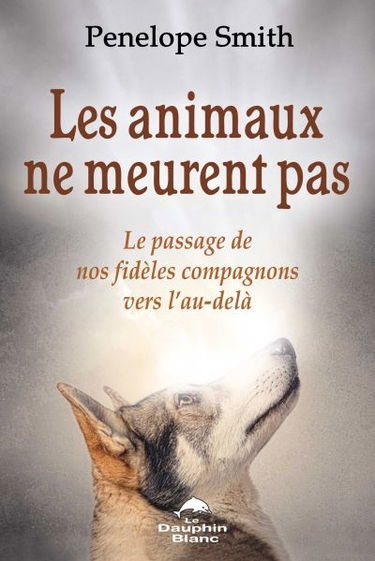 Les animaux ne meurent pas : le passage de nos fidèles compagnons vers l'au-delà