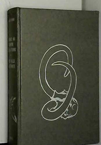 Voyage au centre de la terre, tome I, une ville flottante