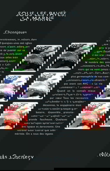 Sous les pavés, la Marne.: Chroniques