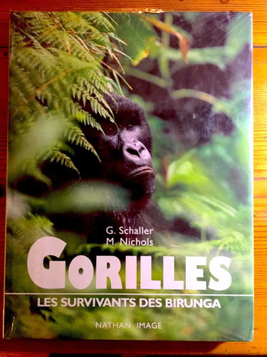 Gorilles : les survivants des Birunga
