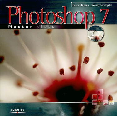 Photoshop 7 master class
