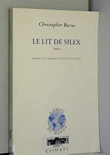 Le lit de silex
