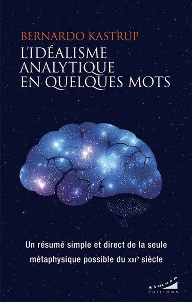 Couverture de L'idéalisme analytique en quelques mots : un résumé simple et direct de la seule métaphysique possible du XXIe siècle