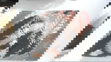 Tantra : Figures érotiques de l'art hindou