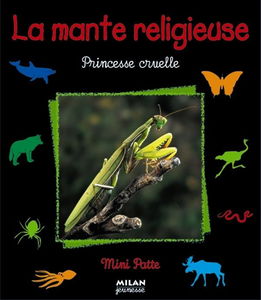 La mante religieuse, princesse cruelle