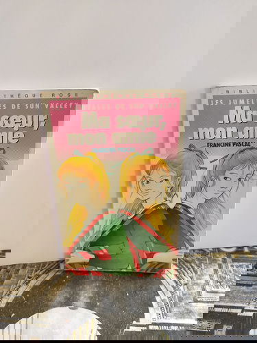 Les jumelles de Sun Valley. Vol. 1. Ma soeur, mon amie