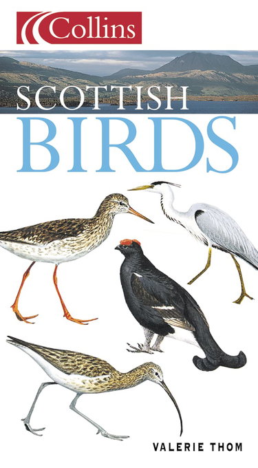Couverture de Scottish Birds