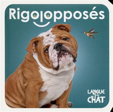 Rigolopposés : bleue