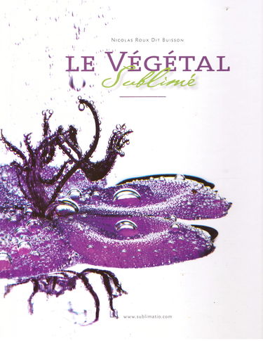 Le végétal sublimé : Hommage au jardin botanique de Lyon