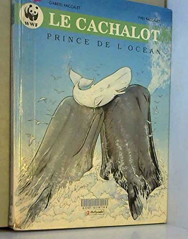 Cachalot Prince De L'Oceans